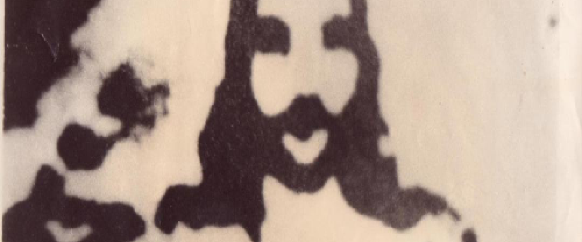 The Lord appearing in Taiwan